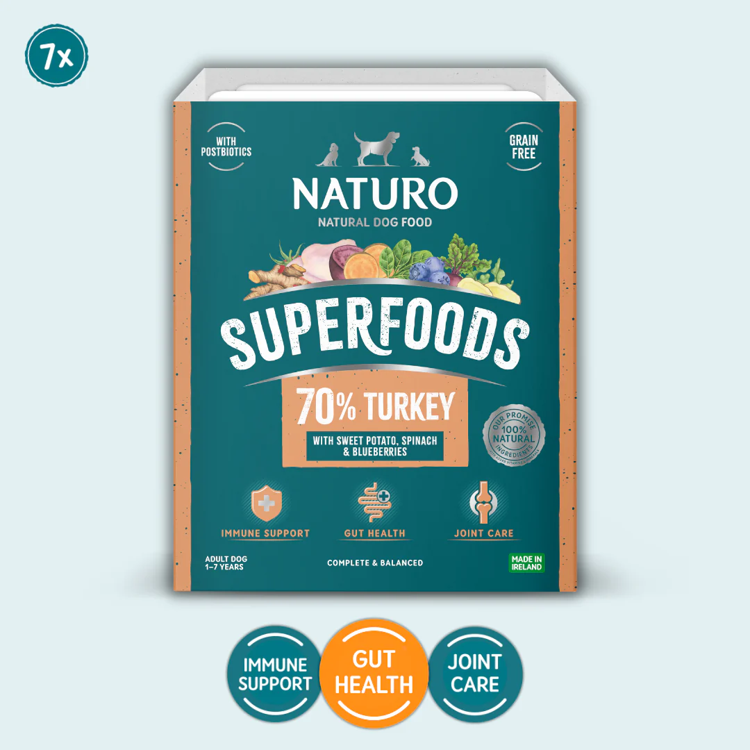 Dog Food Trays